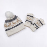 Christmas Deer Pompon Beanie And Gloves Set